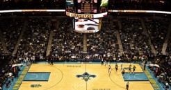 hornets-salle