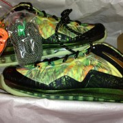 Nike LeBron X Floral