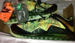 Nike LeBron X Floral
