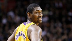 metta world peace