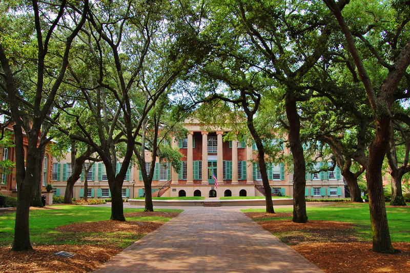 Parsemée de jardins à la flore subtropicale, de maisons coloniales aux couleurs vives et ville ouverte sur l’Atlantique, Charleston a des atouts à faire valoir ! Fondée en 1670 par les Anglais, la ville a longtemps été un centre majeur de la traite des noirs puisque 40% des esclaves amenés en Amérique du Nord y transitaient.