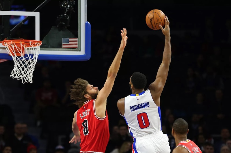 drummond-bulls