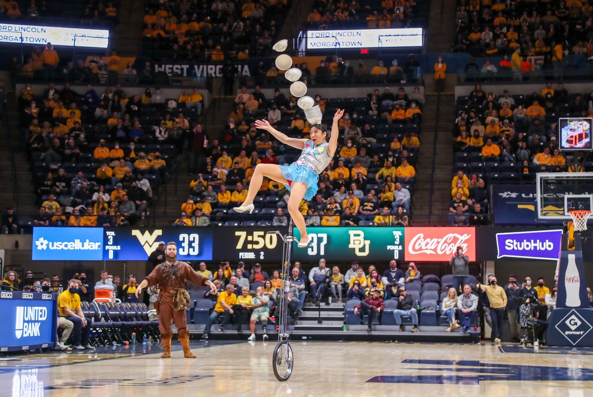 Red Panda