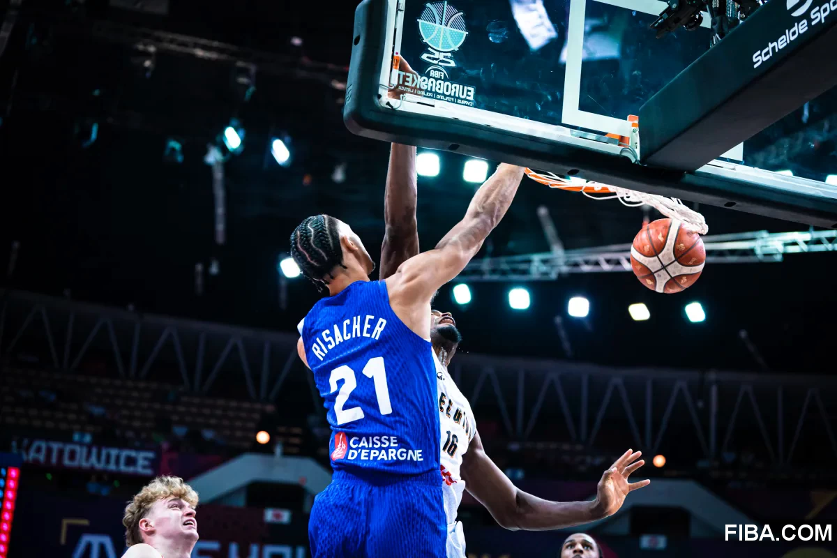 audiences france belgique