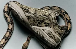 La SHAI 001 « Slither » poursuit sa mue