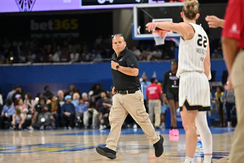 Les sex-toys sont de retour sur les parquets WNBA