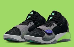 Une Zion 2 aux motifs phosphorescents