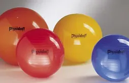 Blessure de Francisco Garcia : faut-il interdire le physioball ?