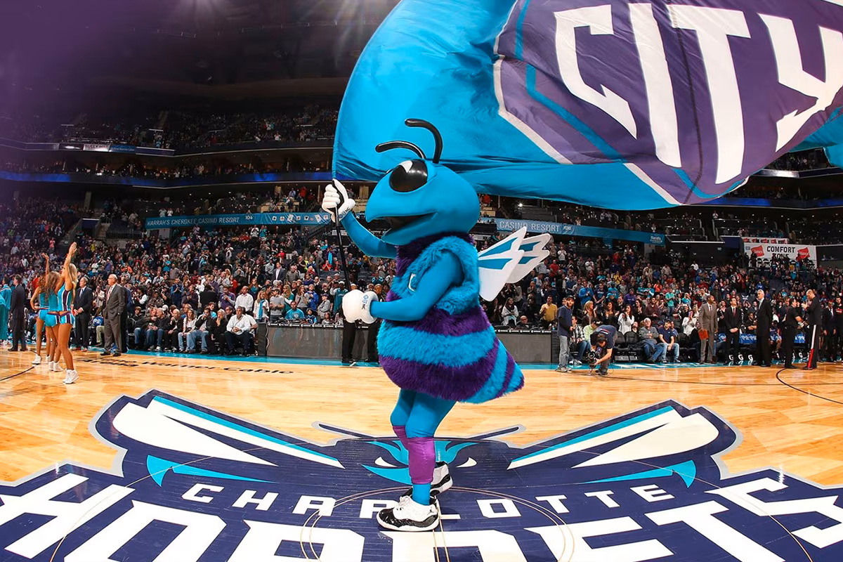 Les Hornets