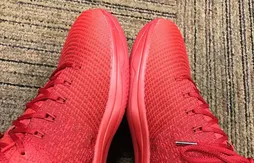 Une Air Jordan 31 basse est en préparation