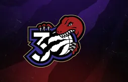 Un logo anniversaire pour les 30 ans des Raptors