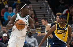 On n’arrête plus les Bucks