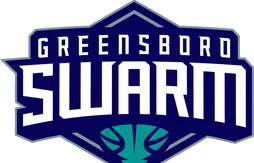 Les Hornets dévoilent leur petit frère, le Greensboro Swarm