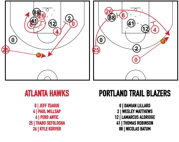 hawks