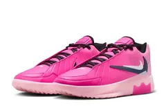 La LeBron Witness 9 fait honneur à Bronny James