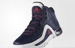 Adidas : le coloris Wizards de la Wall 2