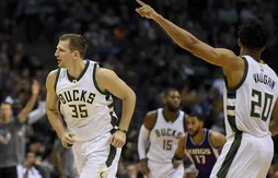 Mirza Teletovic absent quatre semaines