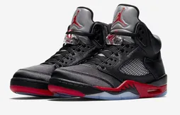 La Air Jordan 5 se pare de satin
