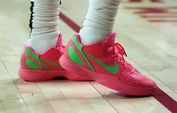 Quelle chaussure a été la plus portée cette saison en NBA ?