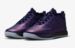 La Book 2 PRM “Eggplant Foamposite” en met plein la vue