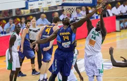 Coupe du monde : les Lions du Sénégal, prêts à rugir