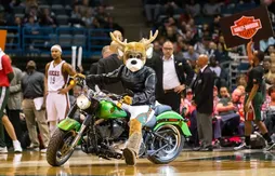 Harley-Davidson sera le sponsor des Bucks