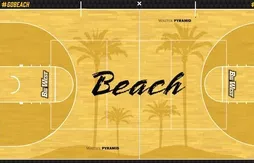 Des palmiers sur le parquets de Long Beach State