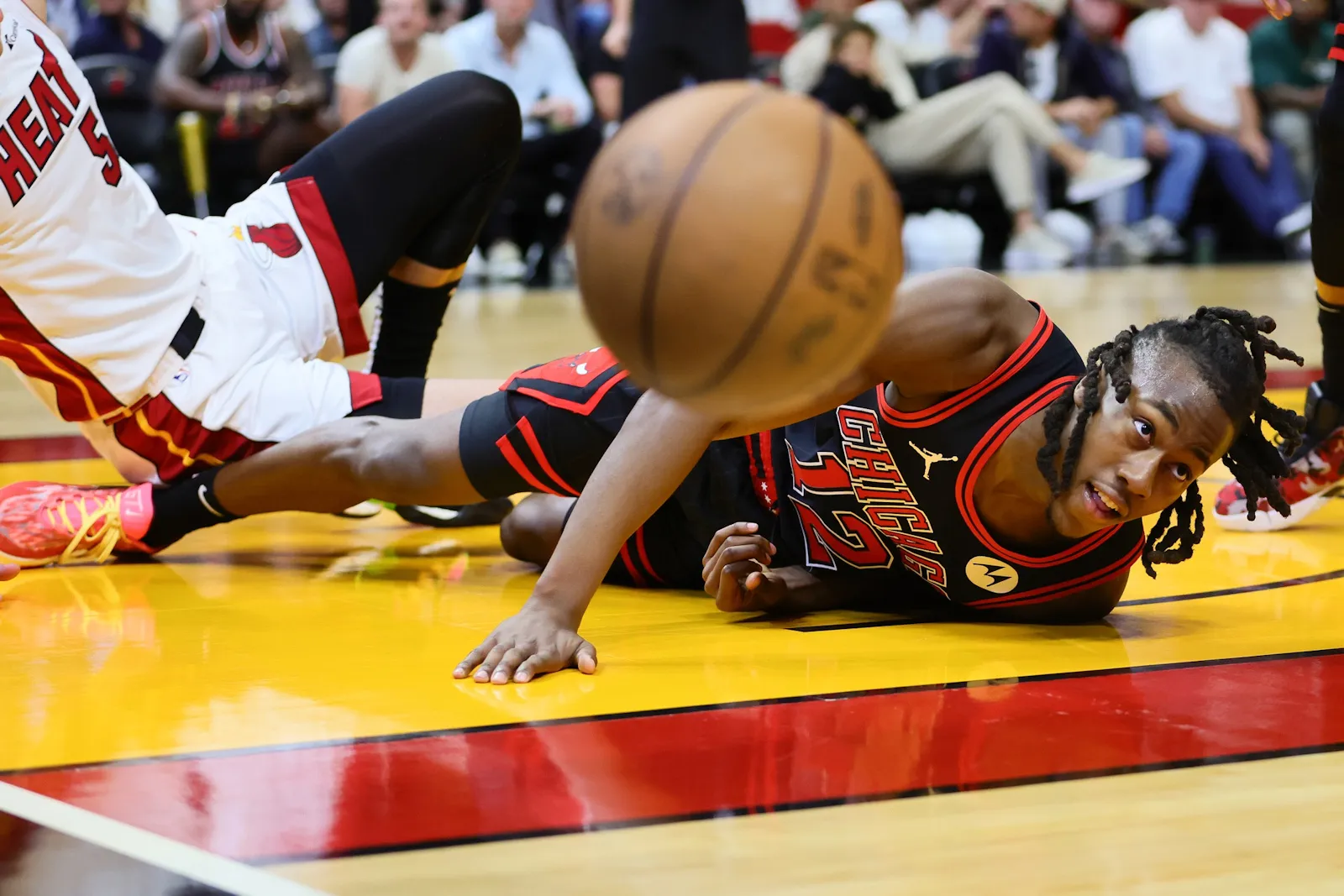 bulls