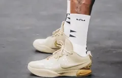 LeBron James dévoile la LeBron 21 !