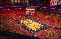 Covid-19 : le Heat va utiliser des chiens pour faire revenir ses fans