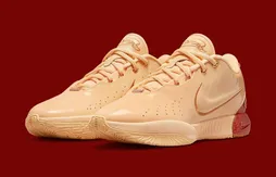 Un coloris ” Dragon Pearl” pour la LeBron 21