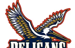 Les Hornets vont changer de couleurs et de nom