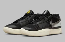 Un coloris fumeux pour la Ja 1