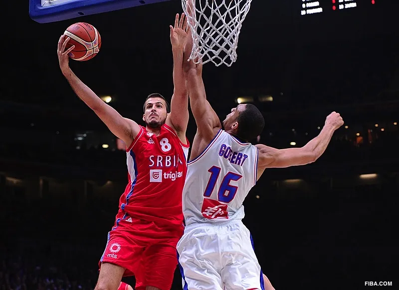 nemanja-bjelica