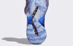 Adidas : du vert pour Jaylen Brown, une licorne pour Kristaps Porzingis