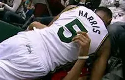 Quand Nicolas Batum et Devin Harris font un calin