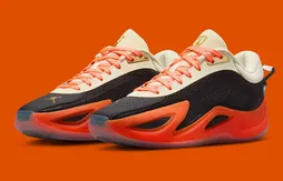 Une Jordan Heir Series 2 « Birds of Paradise » pour le All-Star Game WNBA ?