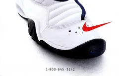 Nike va ressusciter le modèle signature de Dennis Rodman
