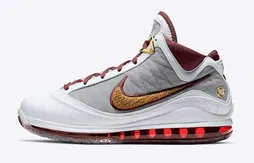 Nike : la LeBron 7 revient au titre de MVP de 2010