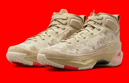 Une touche “chic” sur le nouveau coloris de la Air Jordan 37