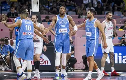 Giannis Antetokounmpo est aussi devenu le leader émotionnel de la Grèce