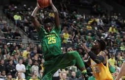 Interview Chris Boucher : “Ma blessure a ralenti mon jeu”