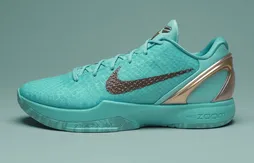 Une Kobe 6 Protro « Statue of Liberty » aux pieds de Jalen Brunson