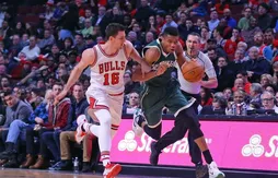 Chicago – Milwaukee : génial Giannis !