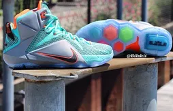 LeBron 12 : de nouvelles photos, le prix et la date de sortie