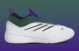 La Dame 9 se pare aux couleurs des Bucks !