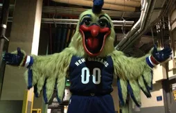 Coup de bistouri sur la mascotte des Pelicans