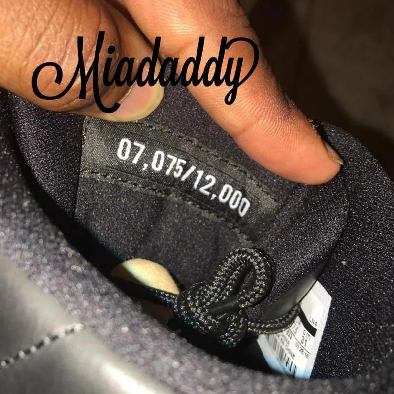 air-jordan-xii-wings-2