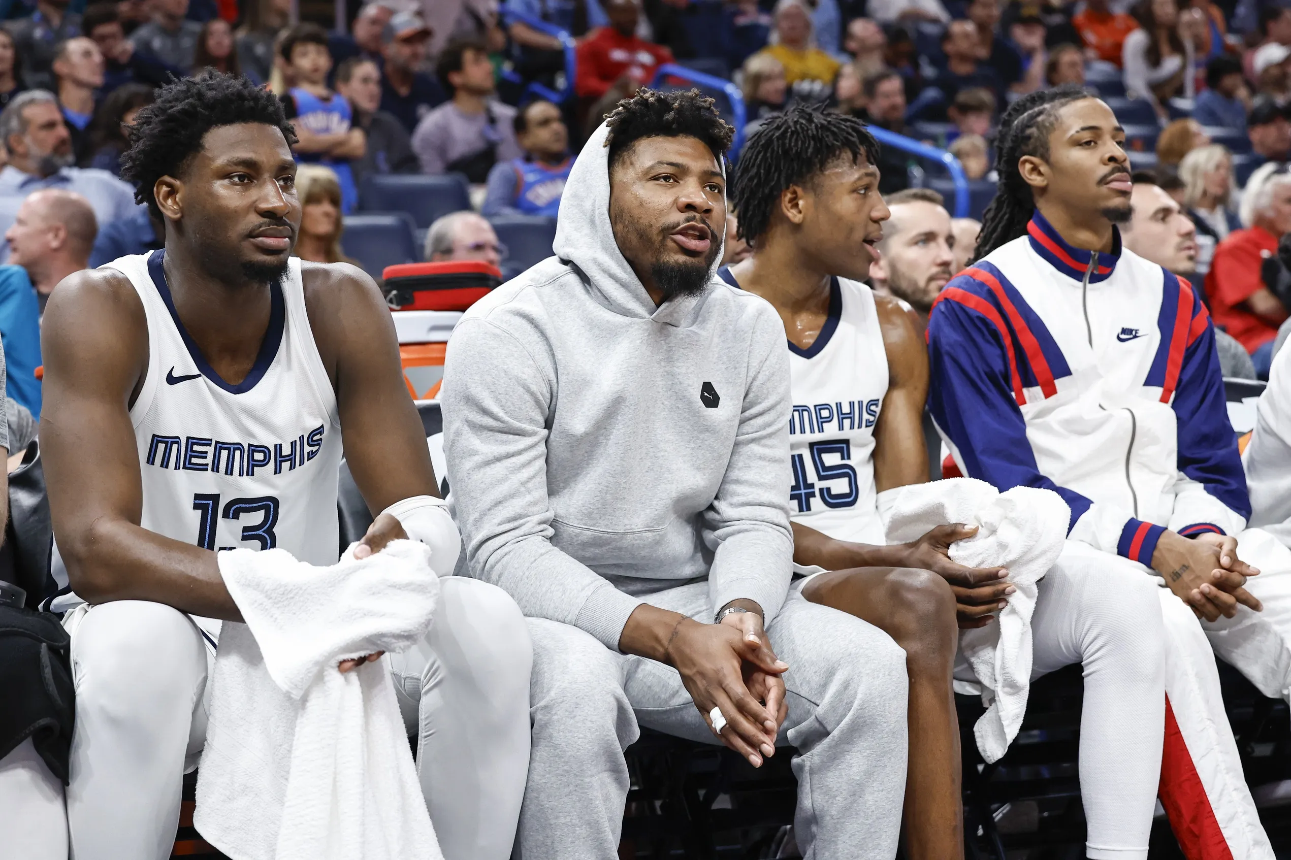 grizzlies