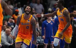 Même les Knicks ne résistent pas aux piqûres des Hornets !